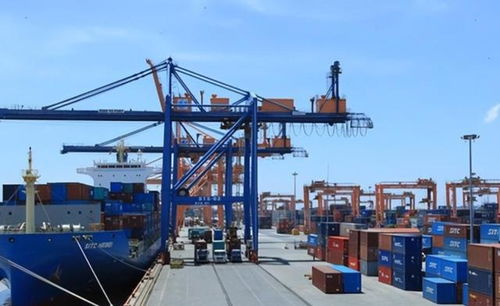 貨幣保衛戰輸了 外匯儲備見底與巨額債務下的經濟困境